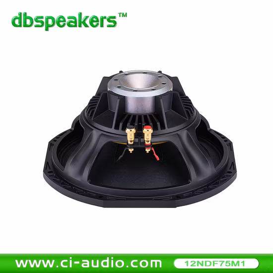 Professional Loudspeaker 12′ ′ Line Array Speaker System 800watt Audio