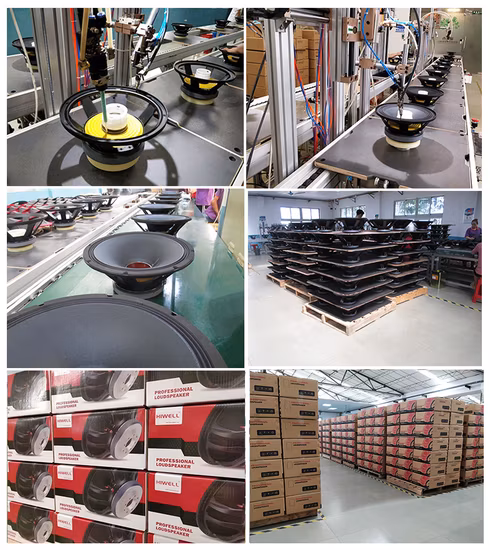 Professional Loudspeaker 12′ ′ Line Array Speaker System 800watt Audio