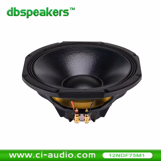 Professional Loudspeaker 12′ ′ Line Array Speaker System 800watt Audio